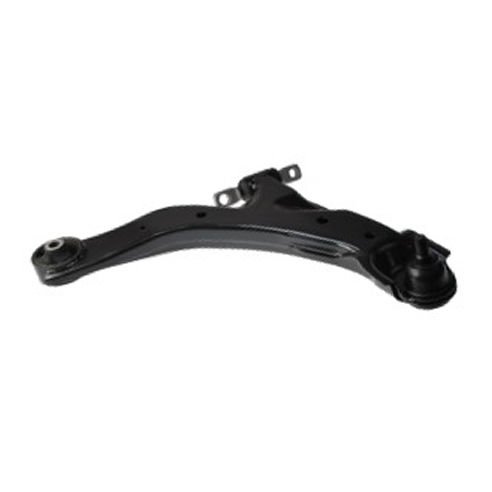 SALINCAK ALT SAG- CERATO 04-09