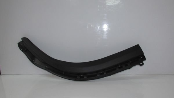 NPR - NKR 85 2010- ÇAMURLUK AĞZI PLASTİĞİ SAĞ