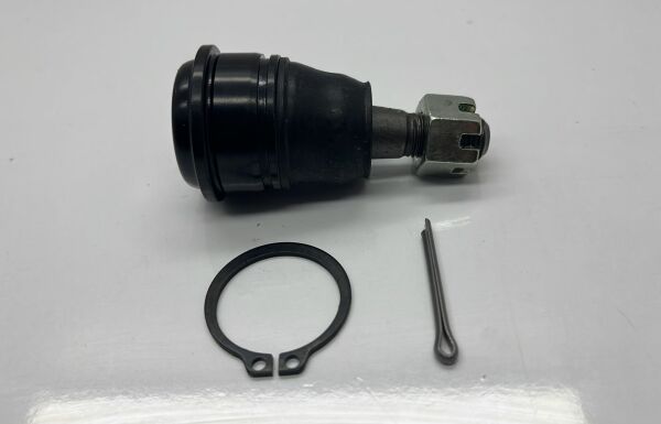 Rotil Micra 92-02 Alt