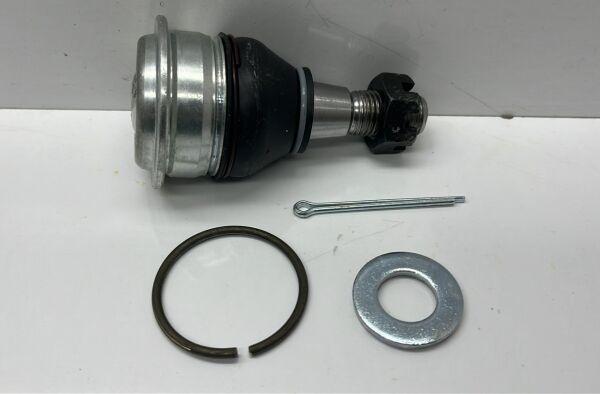 Rotil Primera 02-/Maxima 99-