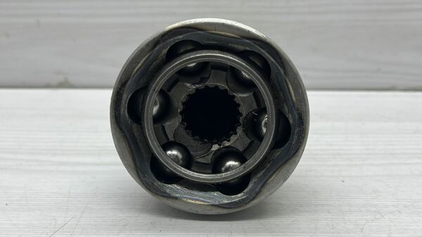 Aks Kafa Pride iç 19 DIŞ