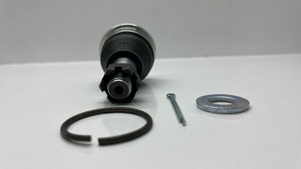 Rotil Primera 02-/Maxima 99-