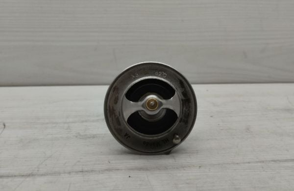 TERMOSTAT ACCENT/ERA/ELAN