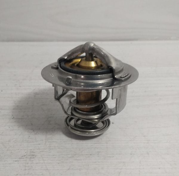 Termostat D22 Td25/Td27