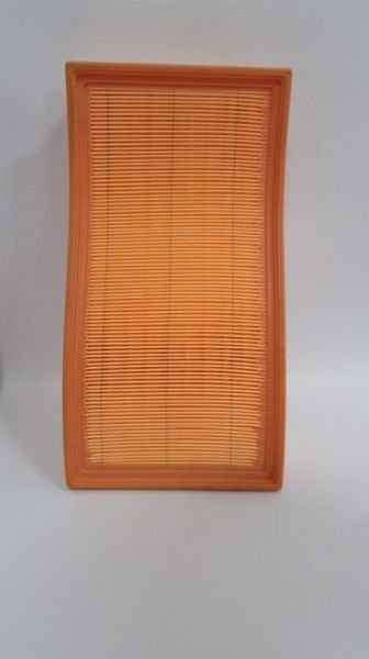 CARISMA 2000-2006 HAVA FİLTRESİ