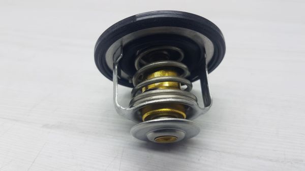 TERMOSTAT ACCENT/ERA/ELAN