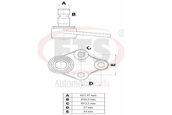 ROTIL ALT- MERCEDES / VITO BUS (W639) 09-03