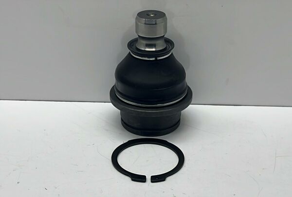 Rotil Navara 05-  Alt