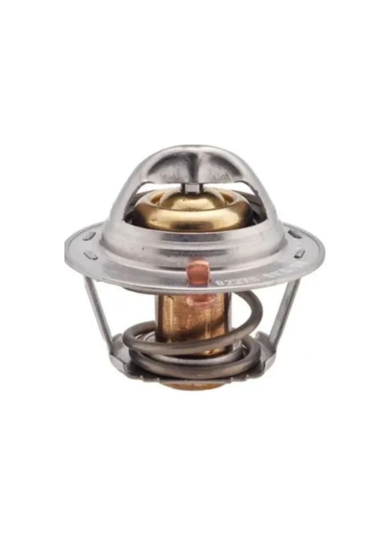 TERMOSTAT CARRY/SWIFT