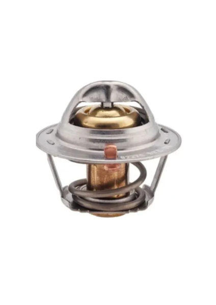 TERMOSTAT CARRY/SWIFT