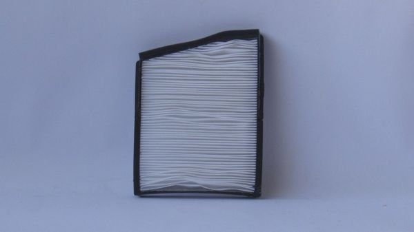 LEGANZA POLEN FİLTRESİ