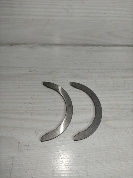 gezi ayı Carry Alto Marutti