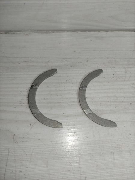 gezi ayı Carry Alto Marutti