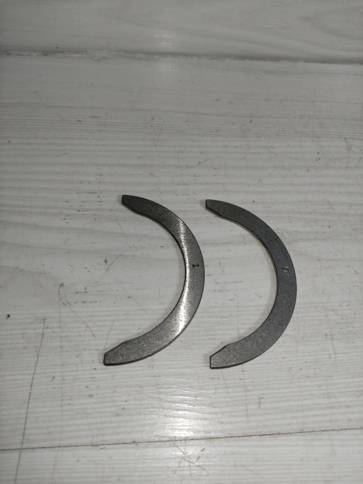 gezi ayı Carry Alto Marutti