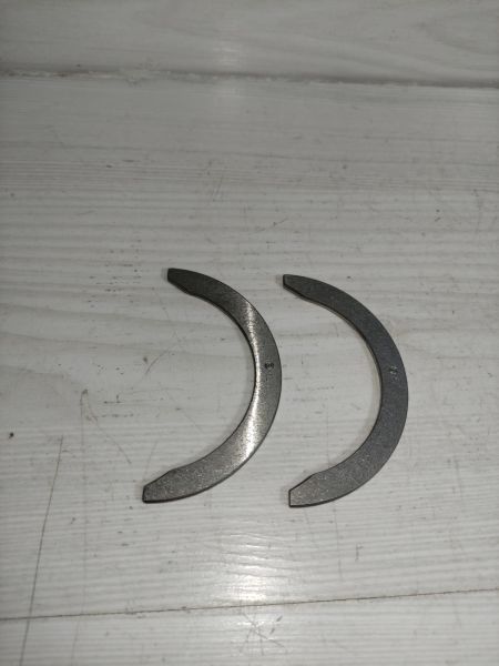 gezi ayı Carry Alto Marutti