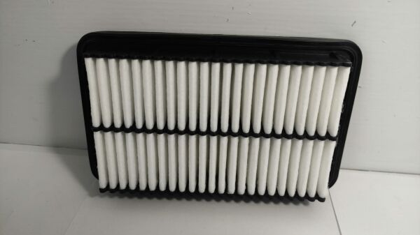 Hava Filtre Picanto 11-