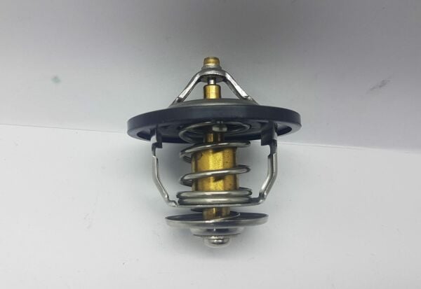 Termostat bongo/pregio/Ceres