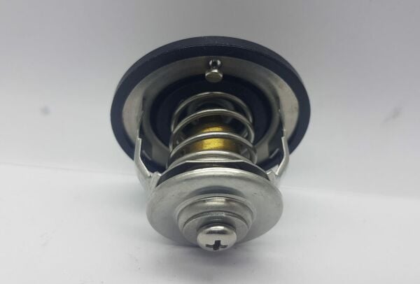 Termostat bongo/pregio/Ceres