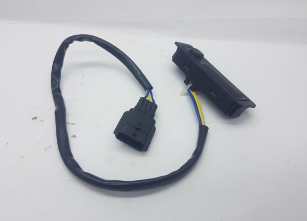 Bagaj Açma Butonu Qashqai 2014- Çift Buton