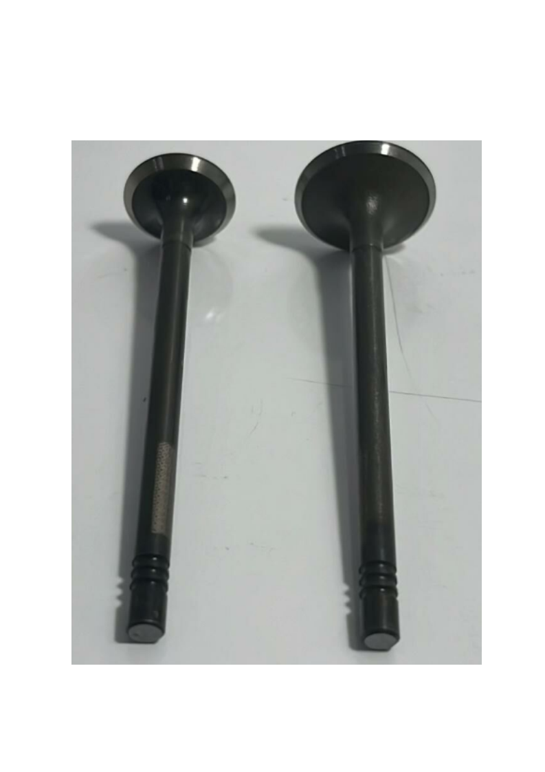 SIBOP ERA DIZEL 3TIRNAK