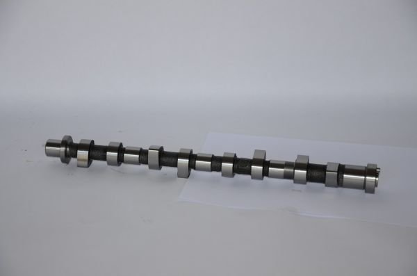 SKYSTAR 02-06 EKSANTRİK MİLİ IN