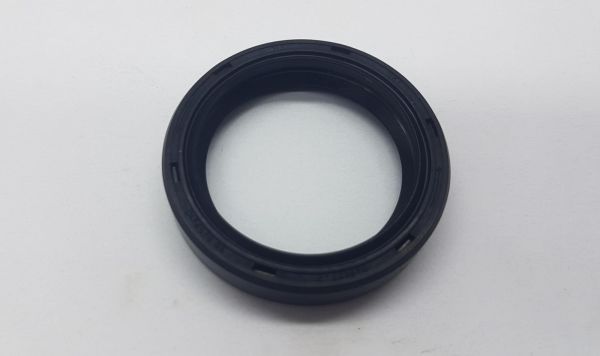 Sanziman Kuyruk Keçe H100