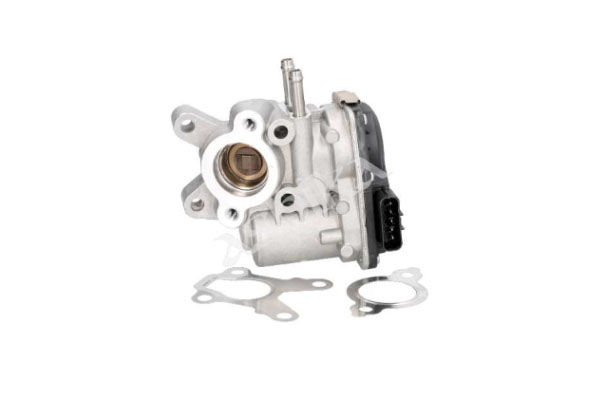 EGR VALFI- NAVARA 05-15