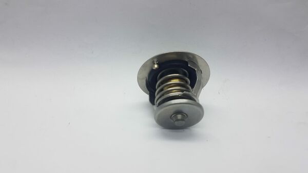 TERMOSTAT ACCENT 1995-2000