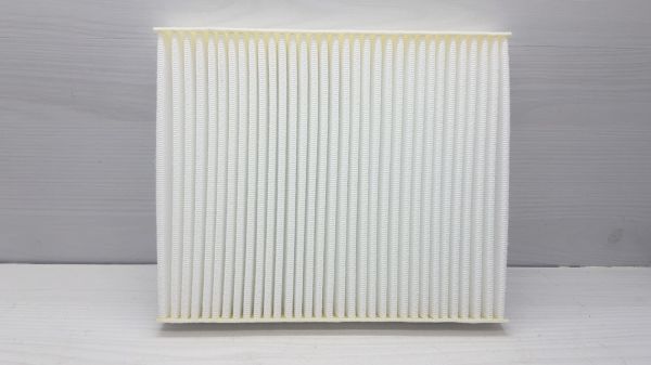 Polen Civic 2006-H.Back