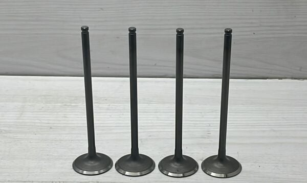 Sibop Civic 06- R16A in