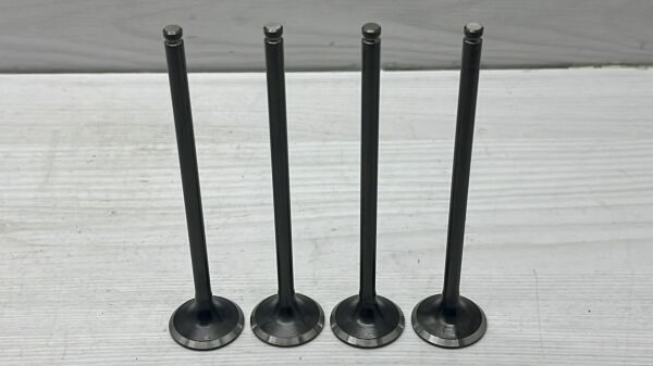 Sibop Civic 06- R16A Ex