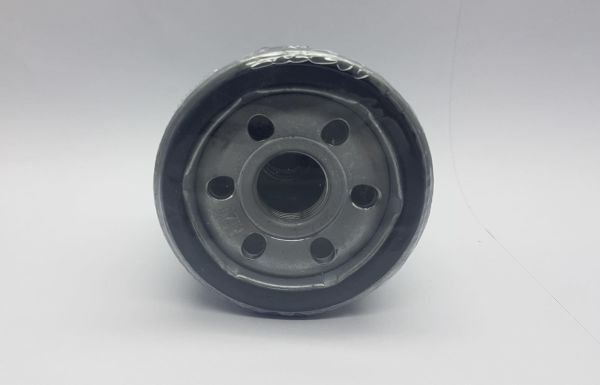 YAG FILTRE 323/CARISMA