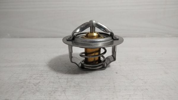 Termostat Altima Ca20