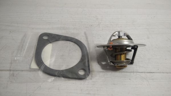 Termostat Micra/Sunny