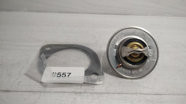 Termostat Micra/Sunny