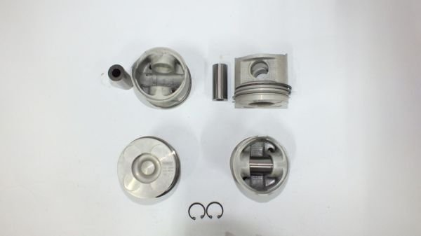 SKYSTAR YD25 02-06 89.00 MM ( TP JAPON SEGMAN ) PİSTON SEGMAN STD