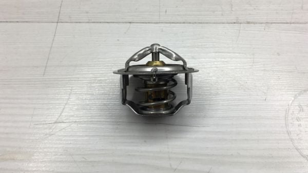 Termostat Carry/Swift