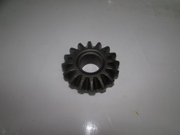 HD 75 04- AKS DİŞLİSİ