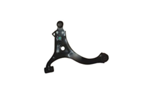 SALINCAK ALT SAG - CARNIVAL 06-