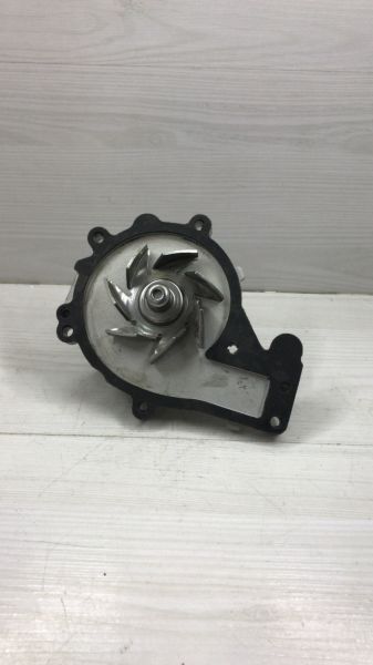 Devirdaim Tiğo Alia Niche