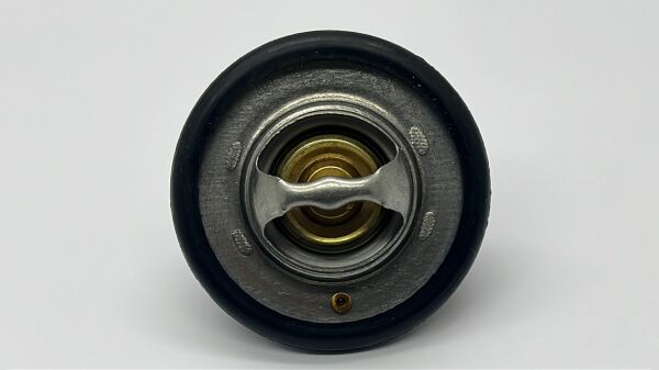 TERMOSTAT PRIMERA 02-