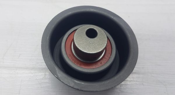 triger gergi rulmanı Altima