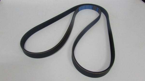 CARNIVAL 2000-2004 V KAYIŞ