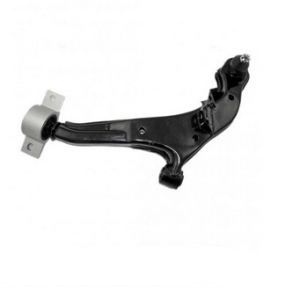 SALINCAK ALT SAG- MAXIMA 00-