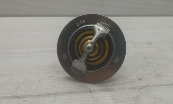 Termostat H100/L300