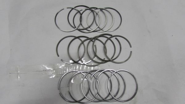 LAND CRUISER 4.2 1HD / 1HZ SEGMAN SET