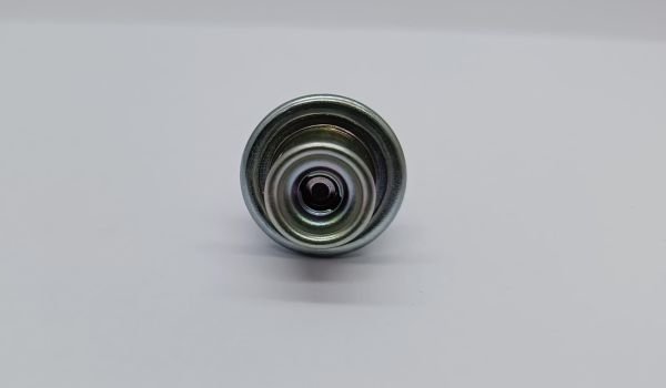 Basinç Regülatörü Era Dizel