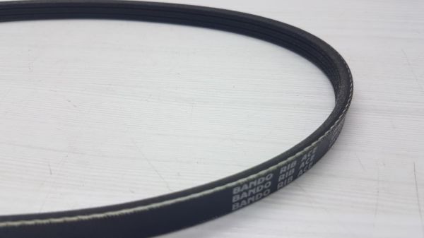 Bando Kanallı Kayıs