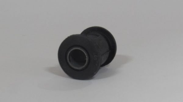 323 SALINCAK BURCU (ÖNÜN ARKASI)