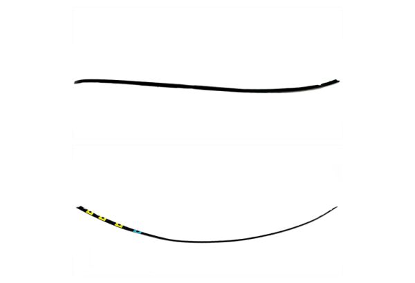 ÇITA TAVAN CIVIC 06-11 RH